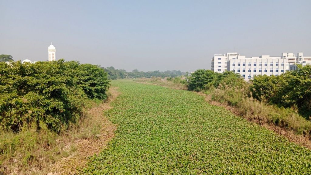 অস্তিত্ব সংকটে মাদারীপুরের শিবচরের নদ-নদী: দখল ও পলিমাটিতে রুদ্ধ প্রবাহ